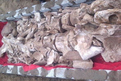 Tìm thấy bộ xương khổng lồ dưới lòng đất